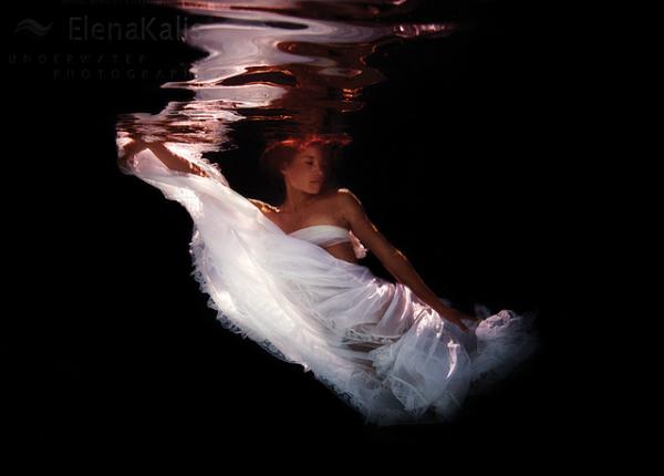 on_the_wing...600_430