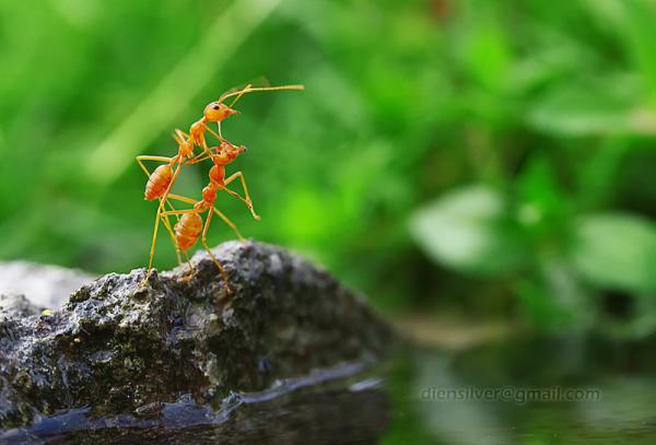 thats_what_friends_are_for600_407