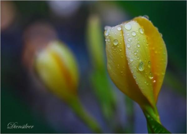 think_about_you600_429