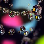 Colorful Macro Shots by Nino Matasa