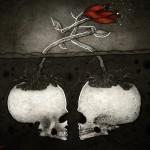 Illustrations by Berk Ozturk