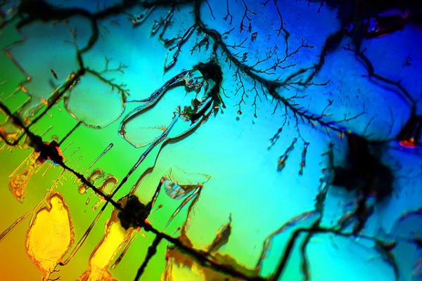 comments_and_faves600_400