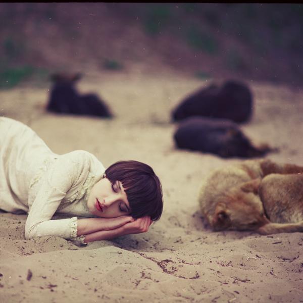 ___bohemian_rapsody_2600_600