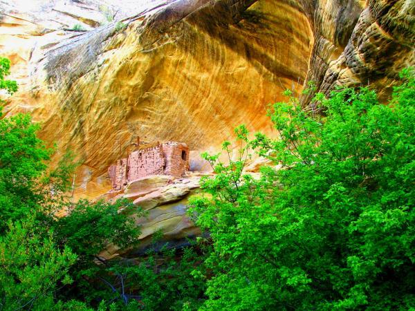 cliff_dwelling_near_cave_7600_450