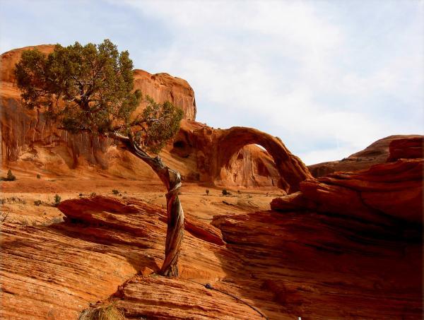 corona_arch__moab,_utah600_453