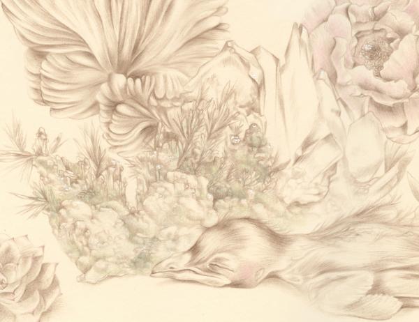 harbinger_detail600_462