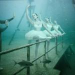 Life Below The Surface