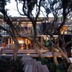 Under Pohutukawa Beach House