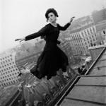 Fly by Melvin Sokolsky