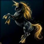 Horse Digital Paintings by Snow Skadi