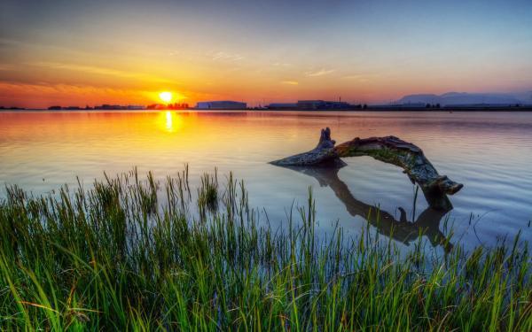 loch_ness_monster600_375