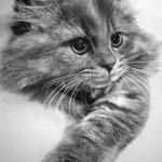 Pencil Sketches by Paul Lung