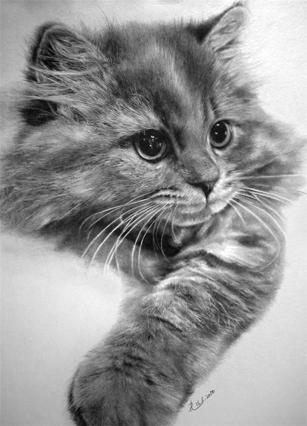 Pencil Sketches by Paul Lung | Cuded Pencil Sketches by Paul Lung | Cuded