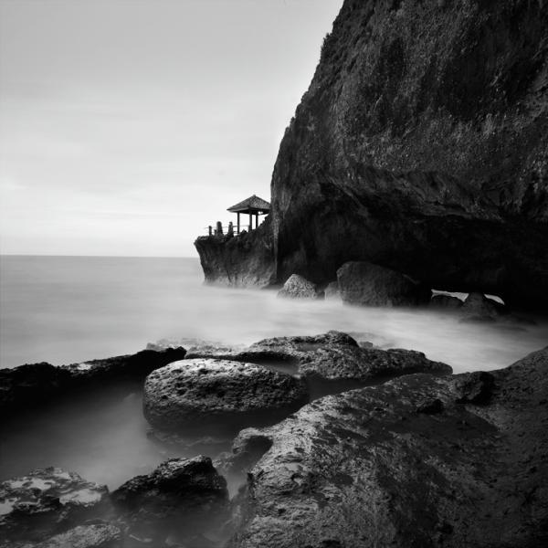 dolphin_house_iii600_600