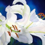 Watercolour Flower Paintings by Marney Ward