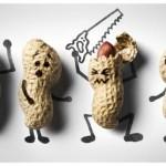 Advertising Photography by Stuart Freeman