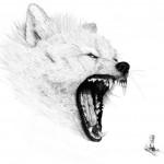 Pencil drawings by Amy Dover