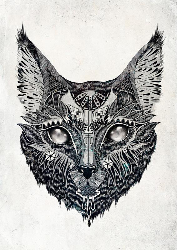 feline zegers-17566_800