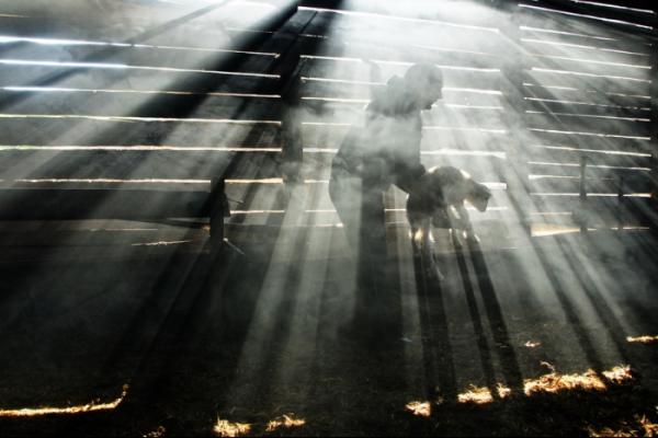 remus_tiplea20600_400