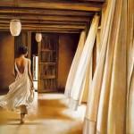 Paintings by Ron Di Scenza