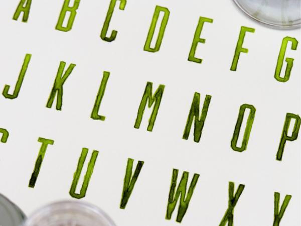 sasha_prood12600_450