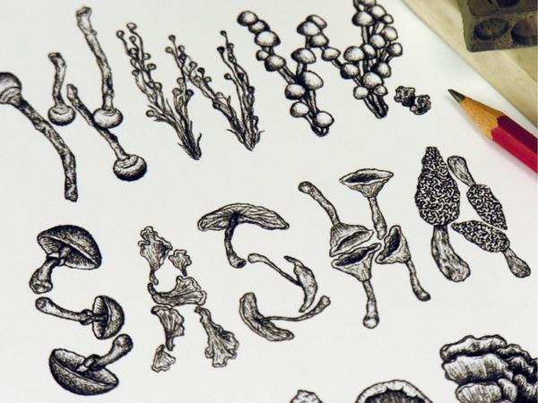 sasha_prood20600_450