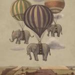 Illustrations by Terry Fan