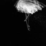 Photography by Vanessa Paxton