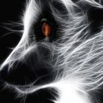 Photography by M kun2