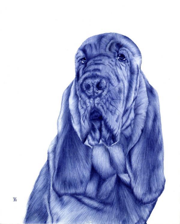 abadidabou_sarah_esteje3600_747