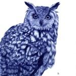 Illustrations by Abadidabou Sarah Esteje