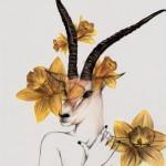 Illustrations by Peony Yip
