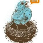 Illustrations by Rachel Caldwell