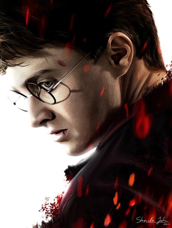 the_boy_who_lived_by_sheridan_johns600_797