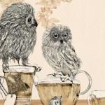 Illustrations by Gabriella Barouch