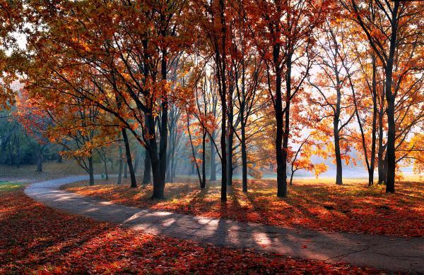 alexandru_popovski12600_390