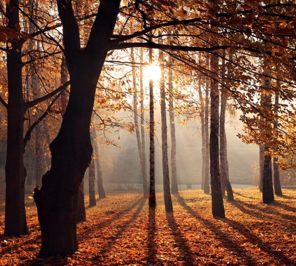 alexandru_popovski13600_539