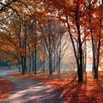 Photography by Alexandru Popovschi