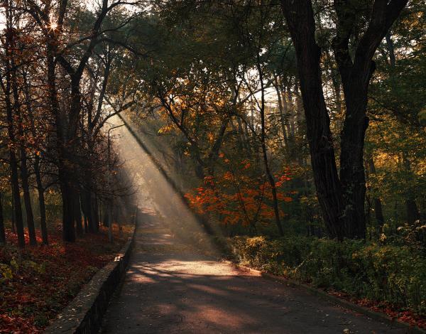 alexandru_popovski3600_470