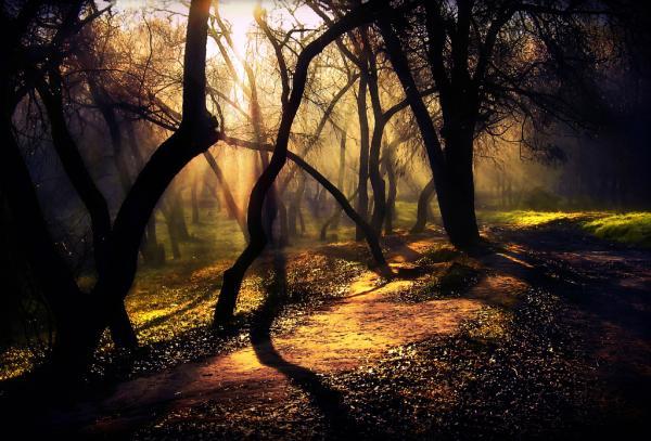 alexandru_popovski4600_407