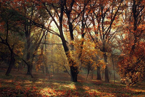 alexandru_popovski7600_403