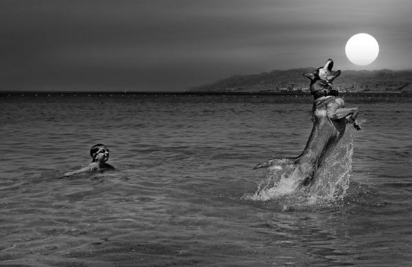 i__ll_take_down_the_sun_for_you_by_gilad_benari600_389
