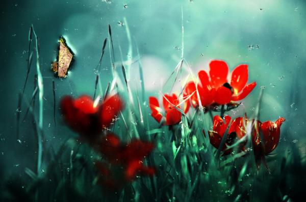 i_can_still_remember_by_gilad_benari600_396
