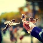 Photography by Magda Kolakowska