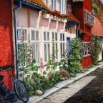 Paintings by Marie- Claire Houmeau