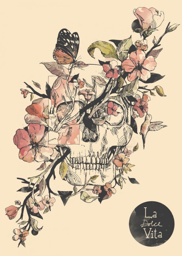 norman_duenas15600_843