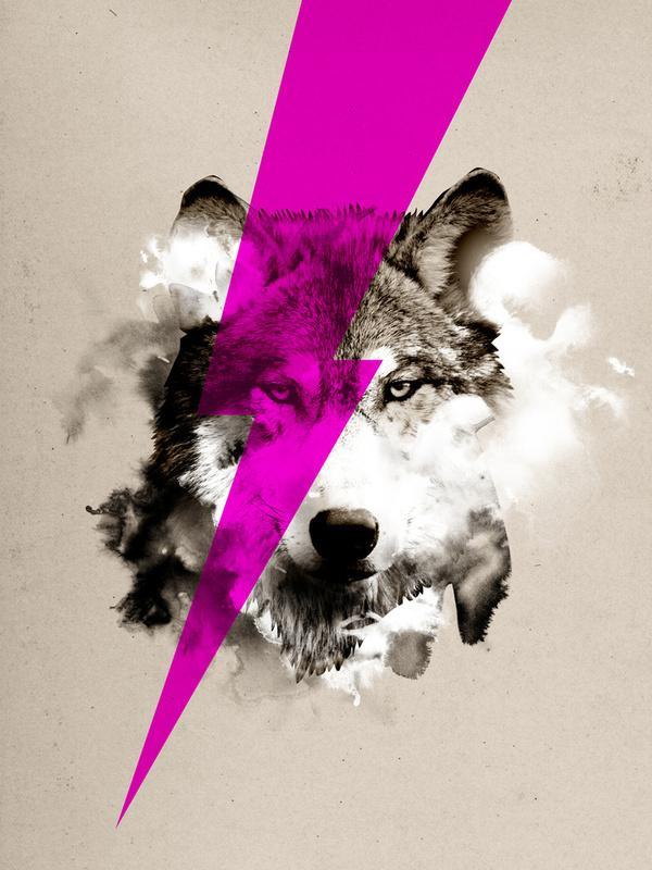 robert_farkas6600_800