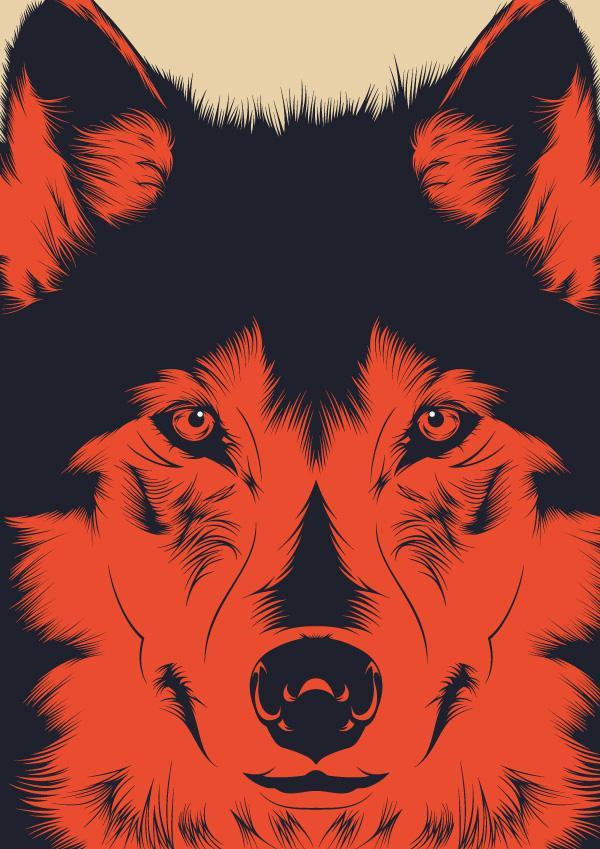 wolf_by_alejandro_garcia600_849