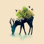 Illustrations by Budi Satria Kwan