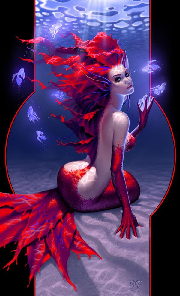 calypso_by_michelle_hoefener600_982